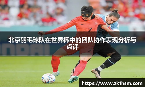 WE真人视讯官网